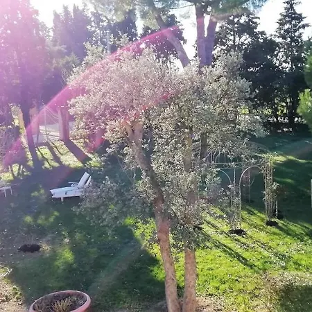 شقة Quadrilocale Glicine مارشيللي